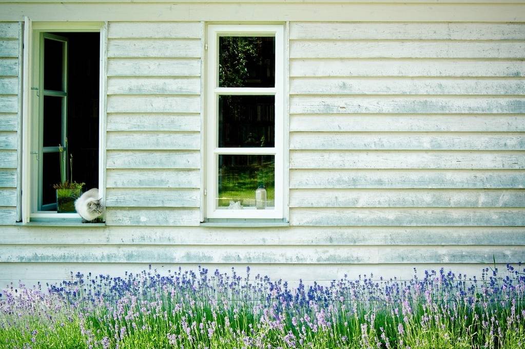 Construire un abri de jardin en bois : astuces et conseils pratiques