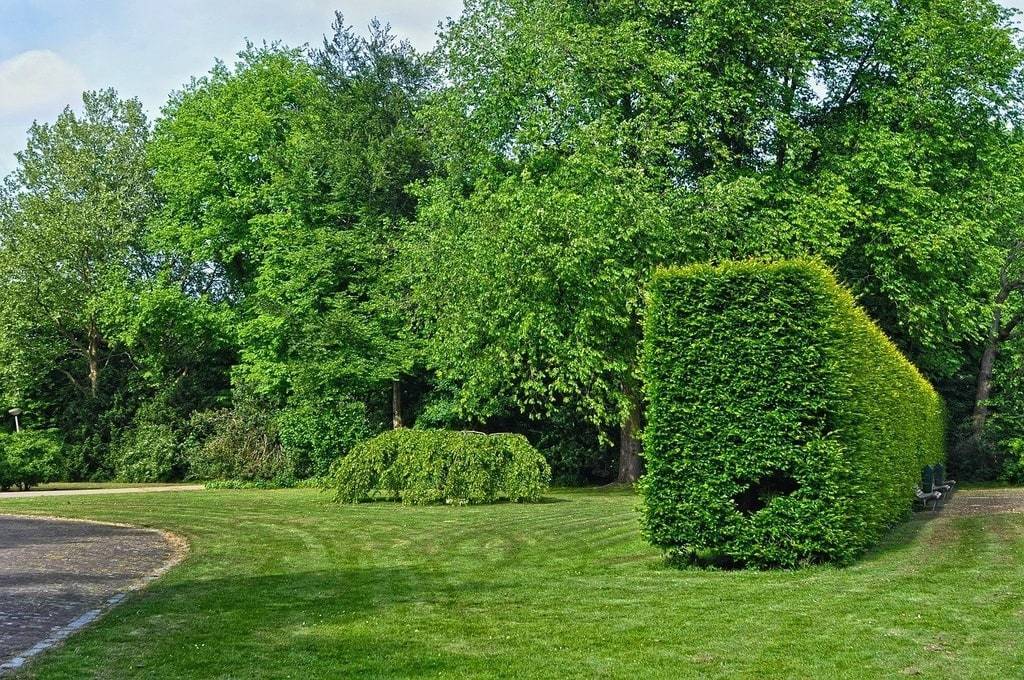 Les avantages de solliciter un paysagiste en Creuse